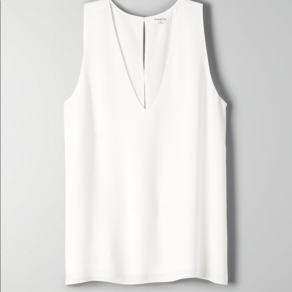 Aritzia Babaton Tank Top Blouse - Picture 3 of 3